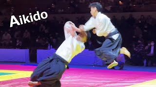 Amazing Aikido is demonstrated at the KUDO tournament by Shirakawa Ryuji [upl. by Chemosh70]