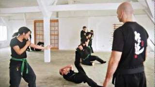 WARRIORS EYES  Ninjutsu by Tendo Dojo Berlin [upl. by Nedearb332]