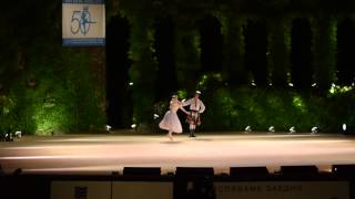 Marina Kudryashova Oleg Rogachev  La Sylphide pas de deux chor A Bournonville Varna IBC 2014 [upl. by Enaelem]