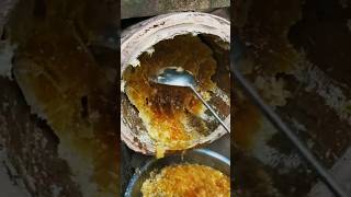 Honey Harvesting Satisfying video🍯madhumakkhi honey pure bee shortvideo shorts [upl. by Meelak987]