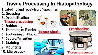 Tissue processing In Hindi  Embbeding  Staining  Deperaffinization  Sectioning of Tissue [upl. by Currey]