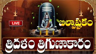 LIVE  బిల్వాష్టకం 20 నిలు వింటే కోటీశ్వరులవుతారు  Bilvashtakam  Lord Shiva Bhakthi Songs [upl. by Anitnoc979]