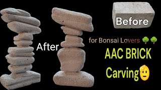 AAC Brick carving for root over rock style Bonsai [upl. by Dall]