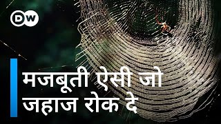 मकड़ी का रेशम इतना मजबूत की विमान को रोक दे Move over polyester Make way for spider silk [upl. by Ethan]