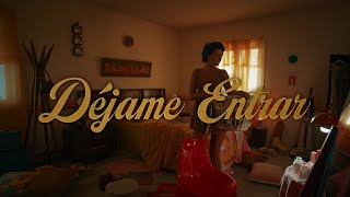 Rauw Alejandro  Déjame Entrar Lyric Video [upl. by Caneghem500]