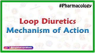 Loop diuretics Mechanism of action  Dr Mahesh [upl. by Tohcnarf]