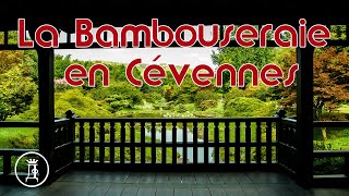 La bambouseraie en cevennes [upl. by Quinlan]