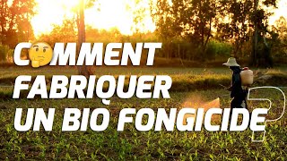 COMMENT FABRIQUER UN BIO FONGICIDE [upl. by Forbes169]