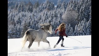 RagingSpaß mit den Ponys [upl. by Aronael686]