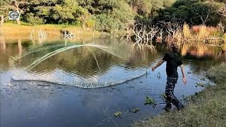 tilapia de entre 3y4 kilos donde desemboca el rio [upl. by Hana]