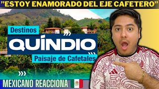 Mexicano Reacciona 🇲🇽  QUINDÍO Paisaje de Inmensos Cafetales 😍🇨🇴  Destinos Turísticos ❤️ [upl. by Nimzaj]