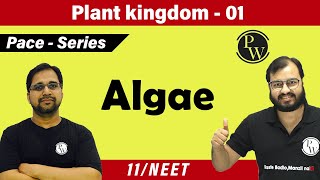 Plant Kingdom 01  Algae  Class 11  CBSE  NCERT  NEET  PACE SERIES [upl. by Drape]