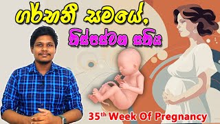 Pregnancy 35th Week  Sinhala Medical Review  අම්මයි බබයි [upl. by Aprilette]