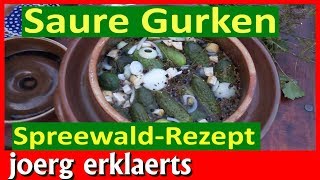 Gurken einlegen Gewürzgurken einmachen nach altem Spreewald Rezept Vorrat anlegen Nr132 [upl. by Owades718]