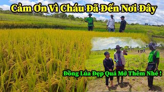 Quang Dũng  Các Anh Hãy Mở Rộng Diện Tích Trồng Lúa Đi Sang Tuần Tôi Cùng Xếp Lớn Đến Thăm [upl. by Aneeres]