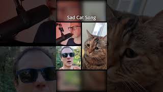 Saddest Cat Meow Ever Emotional Song shorts [upl. by Lavina698]