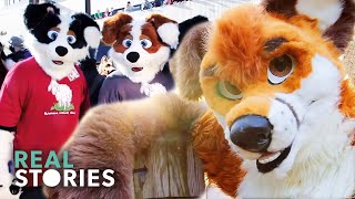 My Misunderstood Life as a Furry Furries Documentary  Real Stories [upl. by Elohcan]