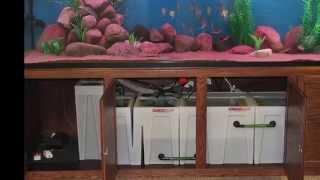 Seamless Sump Aquarium Sump Filtration Overview [upl. by Aduh499]