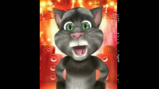 Gatito Tom Hoy es viernes [upl. by Esaele]