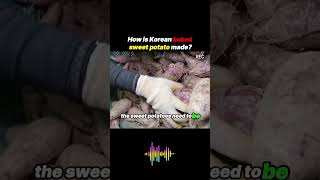 How is Korean baked sweet potato madefood foodiefacts foodreview [upl. by Schafer]