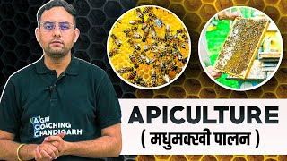 Apiculture  Honeybee Farming  Bee Keeping [upl. by Maurice]