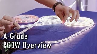 RGBW LED Strip Product Line Overview A Grade Top Quality [upl. by Akalam]