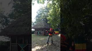 norinoriojisan1967reggae Zimbabwe Vre3Survival bobmarley reggae zimbabwe dance [upl. by Xonk]