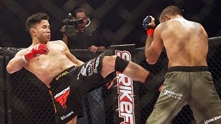 Cung Le  11 Fights  All Strikes  Deadly Strikers  Part 1 [upl. by Nirda]