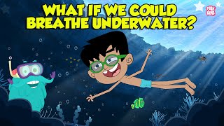 What If We Could Breathe Underwater  Humans with Superpowers  Super Freedivers  Dr Binocs Show [upl. by Berns]