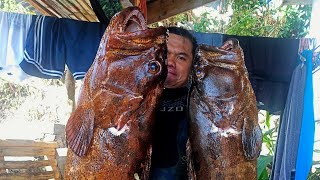 MARBLED GROUPER SEASON  SPEARFISHING PHILIPPINES  BANTON ROMBLON😱 [upl. by Aerdnahs]