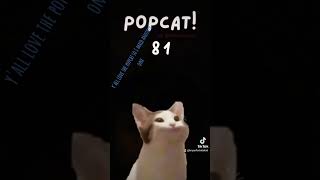 here is a popcat popopopop [upl. by Drooff]