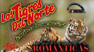 los tigres del norte puras romanticas [upl. by Fleurette]