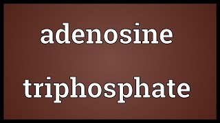 Adenosine triphosphate Meaning [upl. by Radbun805]