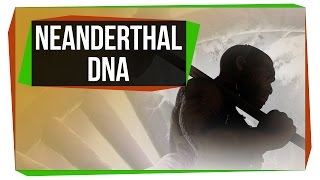 What Neanderthal DNA Is Doing To Your Genome [upl. by Haidabej827]