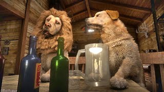 Rufus Throws A Crazy Party At Beechers Hope Without Johns Permission  Red Dead Redemption 2 [upl. by Llenroc569]