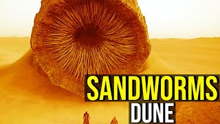 SANDWORMS The God of DUNE EXPLAINED [upl. by Bodi]