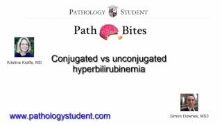 Path Bites Conjugated vs unconjugated hyperbilirubinemia [upl. by Fia]