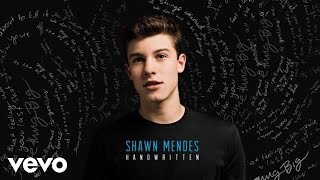 Shawn Mendes  Imagination Official Audio [upl. by Pallua243]