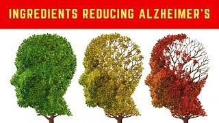 🔋 3 Clinically Proven Ingredients Which Can Help Reduce Dementia Alzheimer’s amp Parkinson’s [upl. by Etnelav]