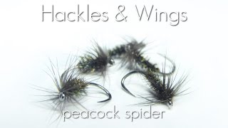 Fly Tying Peacock Spider  Hackles amp Wings [upl. by Emilie]