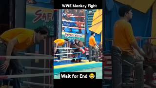 WWE monkey Vs Monkey 🐵 monkey wwe monkeys funnyvideo shorts trending [upl. by Arotal]