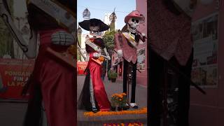 Actopan en diademuertos 🧡 dondeir hidalgo pueblosconsabor actopan dayofthedead [upl. by Ananna264]