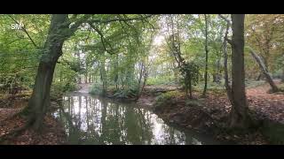 Coombe Abbey Country Park Coventry England [upl. by Chamberlin590]