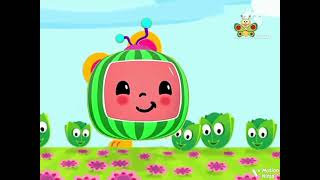 Baby TV Songs Rhymes Plant A Cabbage 4 [upl. by Masera703]