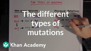 The different types of mutations  Biomolecules  MCAT  Khan Academy [upl. by Nnaeirelav]