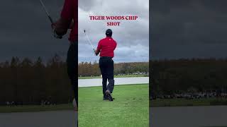 Rate this Tiger Woods Chip Shot 👀 tigerwoods pgatour [upl. by Notyad]