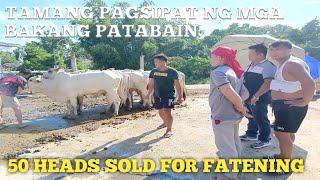 Tamang pagsipat at Pagpili ng fathening na Baka [upl. by Essa945]