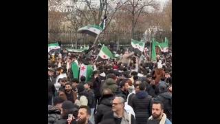 Syrians in Austria celebrate the overthrow of Assad regime [upl. by Barcellona]