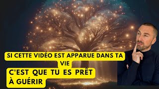 Il Vous GUÉRIT Pendant Votre SOMMEIL🌙Méditation Guidée pour GUÉRIR Soulager le STRESS et lANXIÉTÉ [upl. by Menendez]