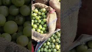 Bowenpally vegetable market Hyderabad MJY vlogs trending shortvideo videos vlogs viralreels [upl. by Kirby]